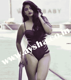 Chandigarh's Punjabi Call Girls